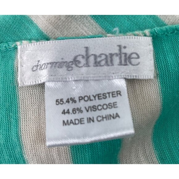 Charming Charlie Teal & Creme Striped Infinity Scarf - Picture 4 of 4